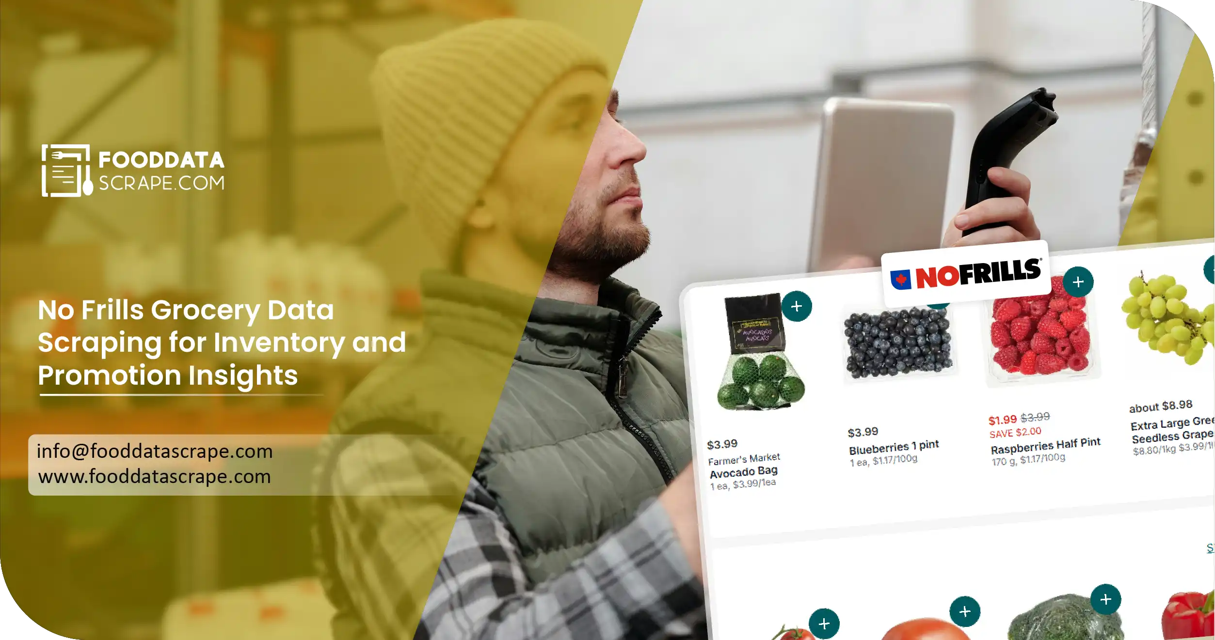 No Frills Grocery Data Scraping Retail Intelligence